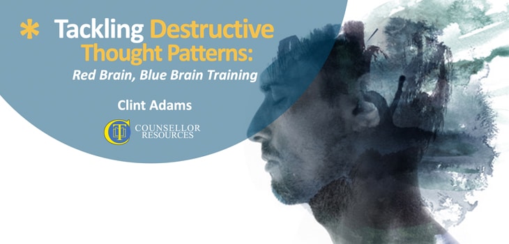 Tackling Destructive Thought Patterns - CPD lecture