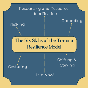 Infographic mind map titled 'The Six Skills of the Trauma Resilience Model' with six words stemming from it: 'Tracking', 'Resourcing and Resource Identification', 'grounding', 'gesturing', 'Help Now!', and 'shifting and staying'.