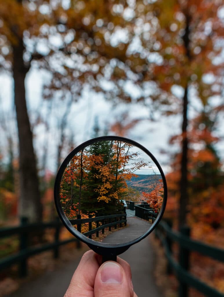 magnifying glass in the foreground with clear picture of path, the same scene is blurry in the rest of the image surrounding the magnifying glass.