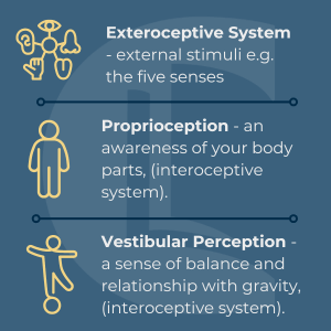 Infographic split into three sections: the first has a graphic of the 5 senses and says 'Exteroceptive system - external stimuli e.g. the 5 senses. The second section has a graphic of a human body with the tag 'proprioception - an awareness of your body parts, (interoceptive system)' and the last section has a graphic of someone balancing on a ball and the writing 'vestibular perception - a sense of balance and relationship with gravity, (interoceptive system)'. the counselling tutor logo is faded in the background.