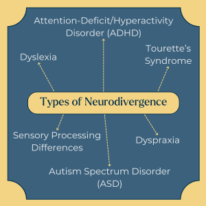 Infographic mind map titled 'Types of Neurodivergence' with six words stemming from it: 'Dyslexia', 'Attention-Deficit/Hyperactivity Disorder (ADHD)', 'Sensory Processing Differences', 'Tourette’s Syndrome', 'Autism Spectrum Disorder (ASD)', and 'Dyspraxia'.