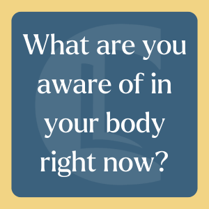 blue square with a yellow border, the counselling tutor logo is faded into the background. In the centre of the square is the question 'What are you aware of in your body right now?'